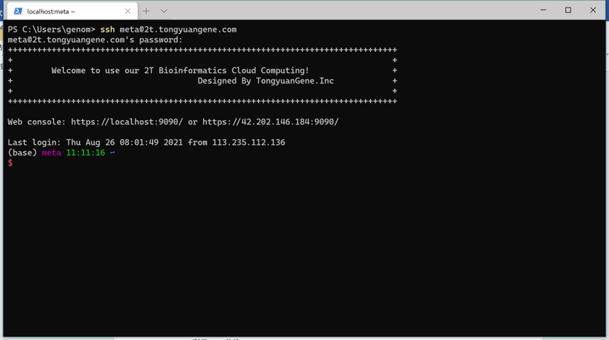 image-20240223113122928