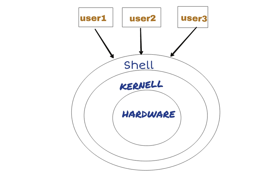 image-20240224084452646