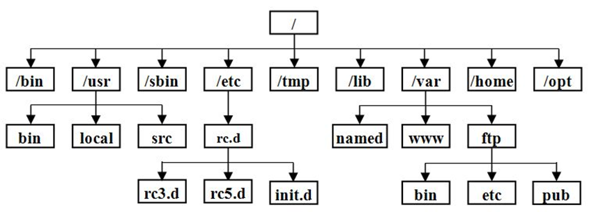 image-20240224084846987